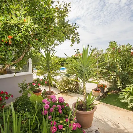 Mit Grossem Balkon تروغير